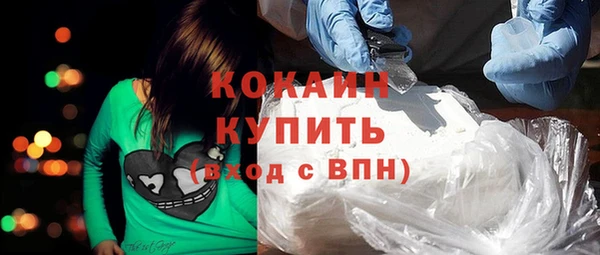 прущие крисы Новозыбков