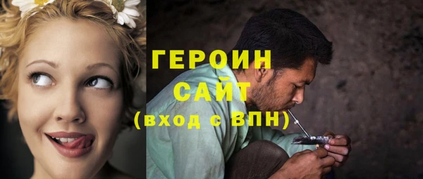 гидра Новодвинск