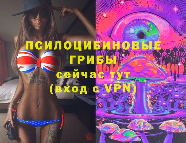 гидра Новодвинск
