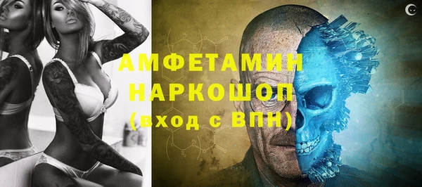 гидра Новодвинск