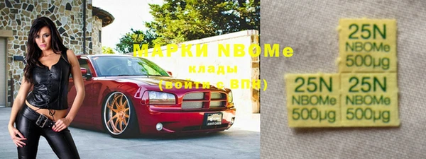прущие крисы Новозыбков