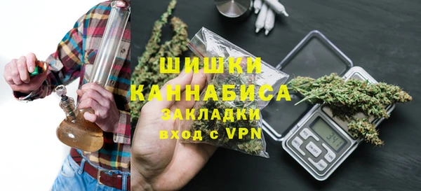 прущие крисы Новозыбков
