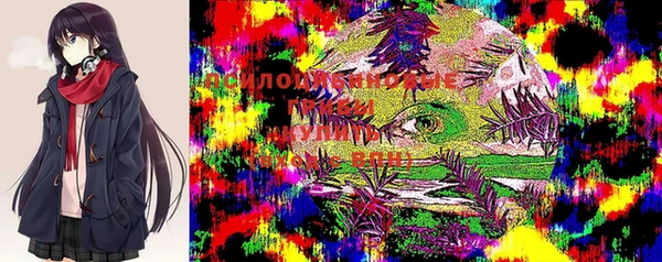 прущие крисы Новозыбков