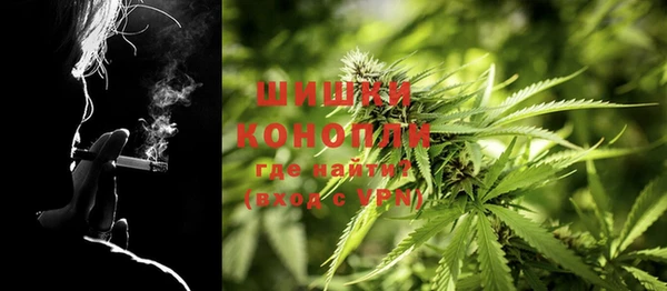 прущие крисы Новозыбков