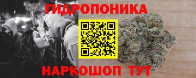 прущие грибы Абакан