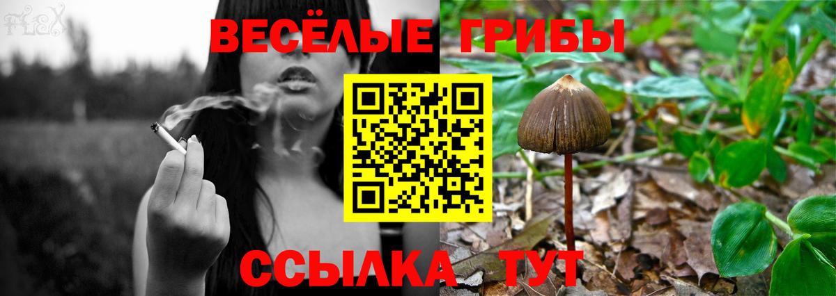 Псилоцибиновые грибы Psilocybine cubensis  Галлюциногенные грибы Cubensis  Вход с VPN  Кореновск 